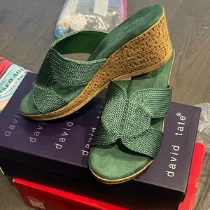 David Tate Forest Green Wedge Sandals